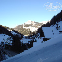 фото из отзыва ID 461042