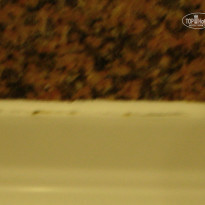 фото из отзыва ID 461100