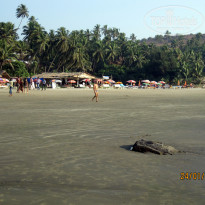 фото из отзыва ID 461255