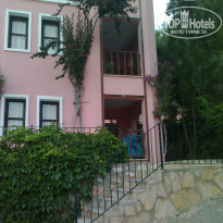 фото из отзыва ID 461256