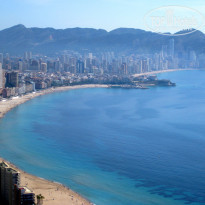 фото из отзыва ID 461727