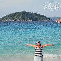 фото из отзыва ID 461853