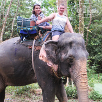 фото из отзыва ID 461853