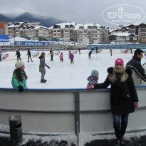 фото из отзыва ID 461932