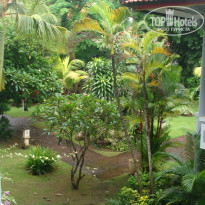 фото из отзыва ID 462126