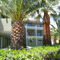 фото из отзыва ID 462185