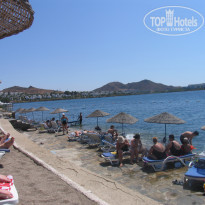 фото из отзыва ID 462264