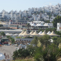 фото из отзыва ID 462264