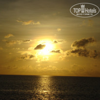 фото из отзыва ID 462448