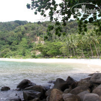 фото из отзыва ID 462484