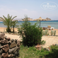 фото из отзыва ID 462592