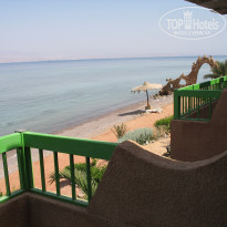 фото из отзыва ID 462592