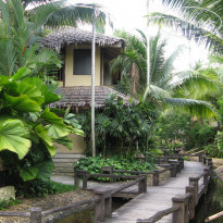 фото из отзыва ID 462743