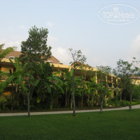 фото из отзыва ID 462743