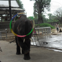 фото из отзыва ID 462802