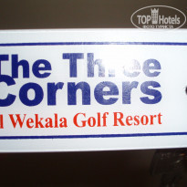 фото из отзыва ID 463055