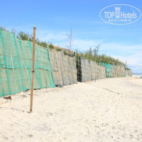 фото из отзыва ID 463028