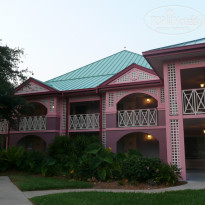 фото из отзыва ID 463904