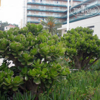 фото из отзыва ID 463786