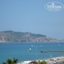 фото из отзыва ID 464228