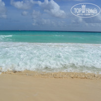 фото из отзыва ID 464240