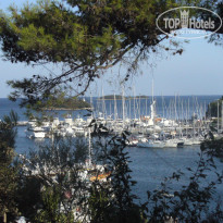 фото из отзыва ID 464389