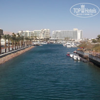 фото из отзыва ID 464535