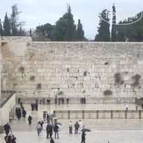 фото из отзыва ID 464535