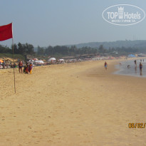 фото из отзыва ID 464578