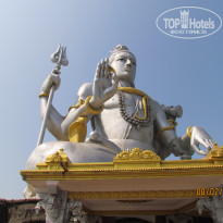 фото из отзыва ID 464578