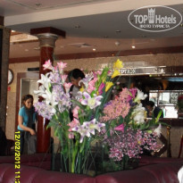 фото из отзыва ID 464701