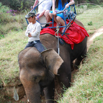 фото из отзыва ID 464775