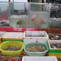 фото из отзыва ID 464775