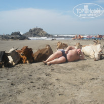 фото из отзыва ID 465036