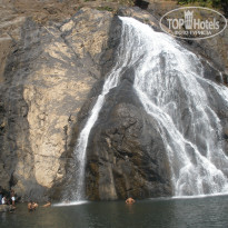 фото из отзыва ID 465036