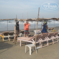 фото из отзыва ID 465036