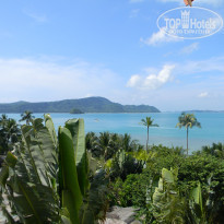 фото из отзыва ID 465039