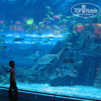 фото из отзыва ID 465109