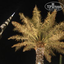 фото из отзыва ID 465109