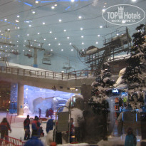 фото из отзыва ID 465109