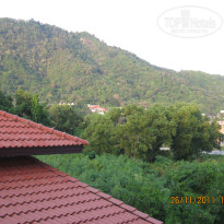 фото из отзыва ID 465388