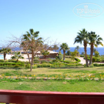 фото из отзыва ID 465400