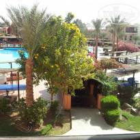 фото из отзыва ID 465617