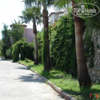 фото из отзыва ID 465824