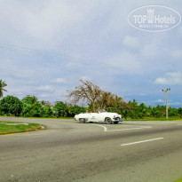 фото из отзыва ID 466403