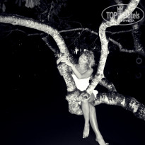 фото из отзыва ID 466193