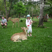 фото из отзыва ID 466224