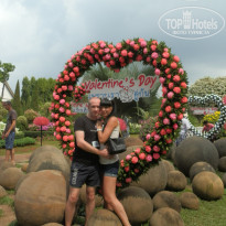 фото из отзыва ID 466238