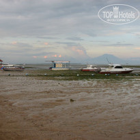 фото из отзыва ID 466461