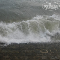 фото из отзыва ID 466488